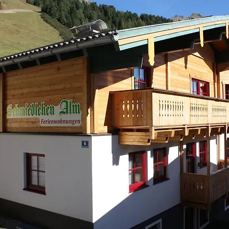 Schmiedlehenalm * 上陶恩