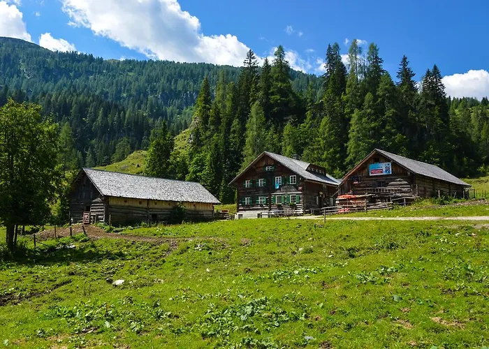 Schmiedlehenalm Apartment *